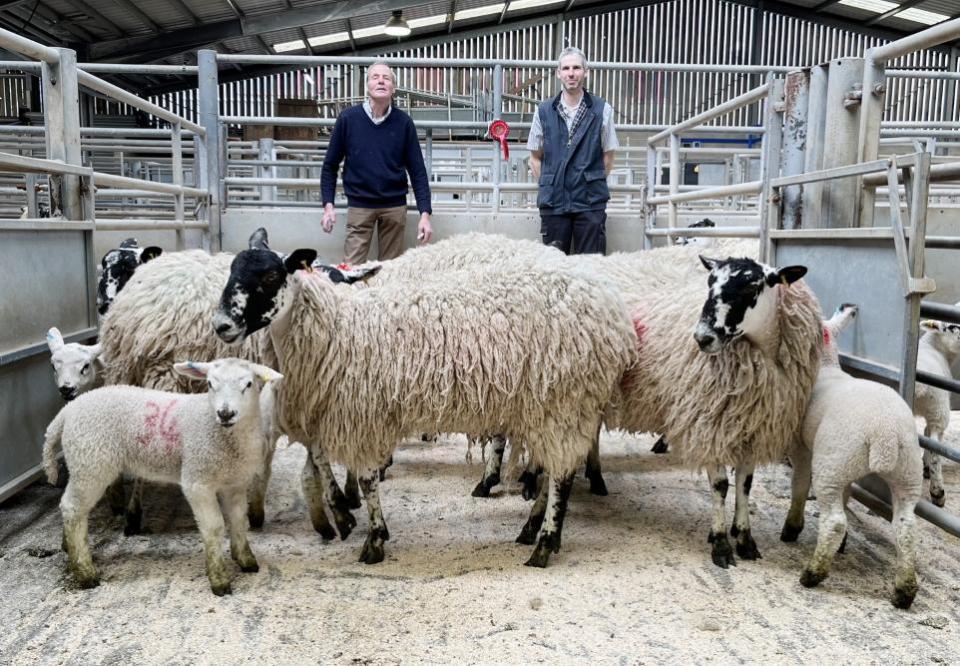 Craven Herald: David Gratton, left, with his first prize pen of North of England Mule hoggs with lambs at CCM Skipton, joined by judge Peter Fox