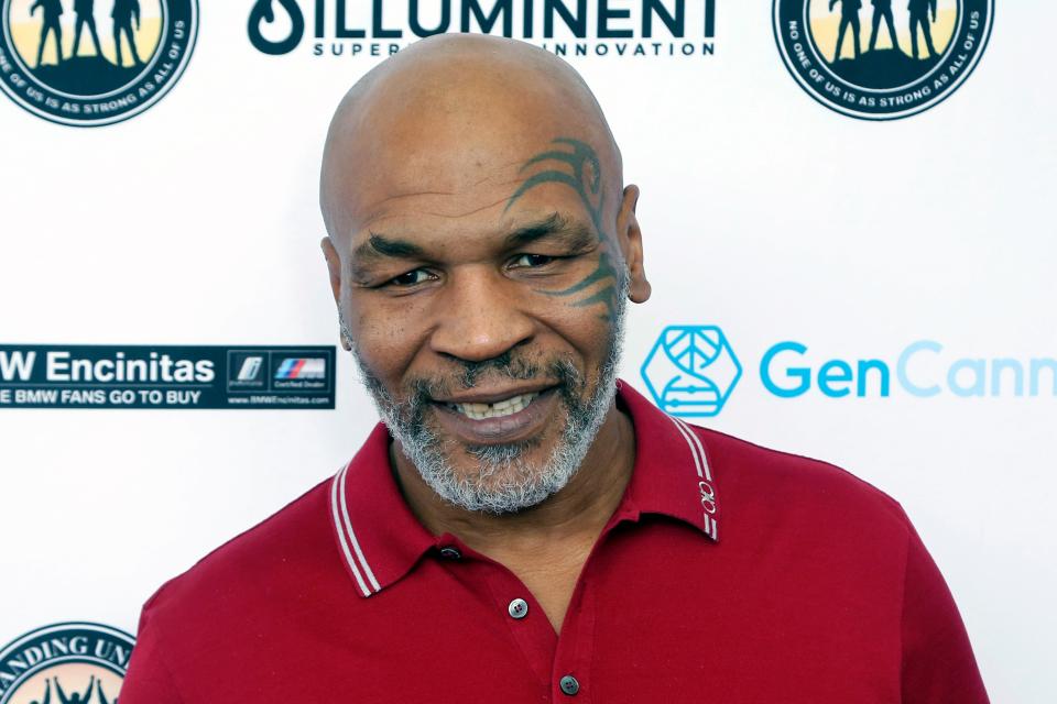 <p>miketyson251120a</p> (Willy Sanjuan/Invision/AP)