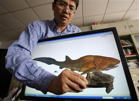 Min Zhu, professor at the Chinese Academy of Sciences' Institute of Vertebrate Paleontology and Paleoanthropology, shows a fossil of the heavily armoured fish, Entelognathus primordialis, in front of a computer screen showing a life restoration image of the fish during a photo opportunity at his laboratory in Beijing September 27, 2013. REUTERS/Kim Kyung-Hoon