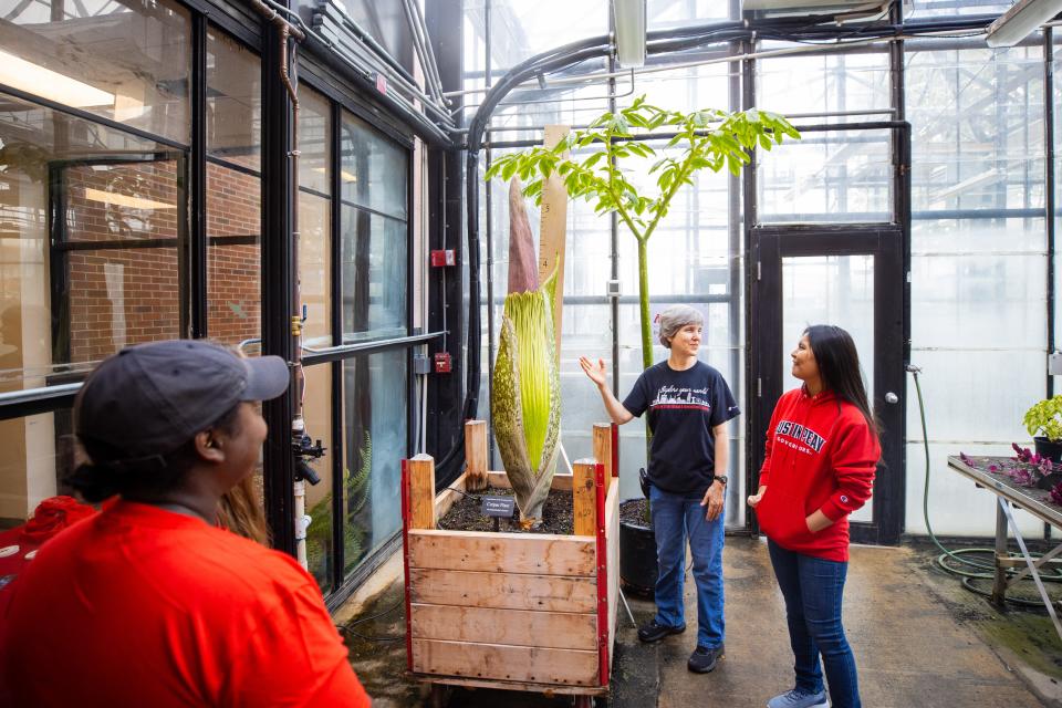 Austin Peay State University's Dr. Carol Baskauf explains the corpse flower plant to students.