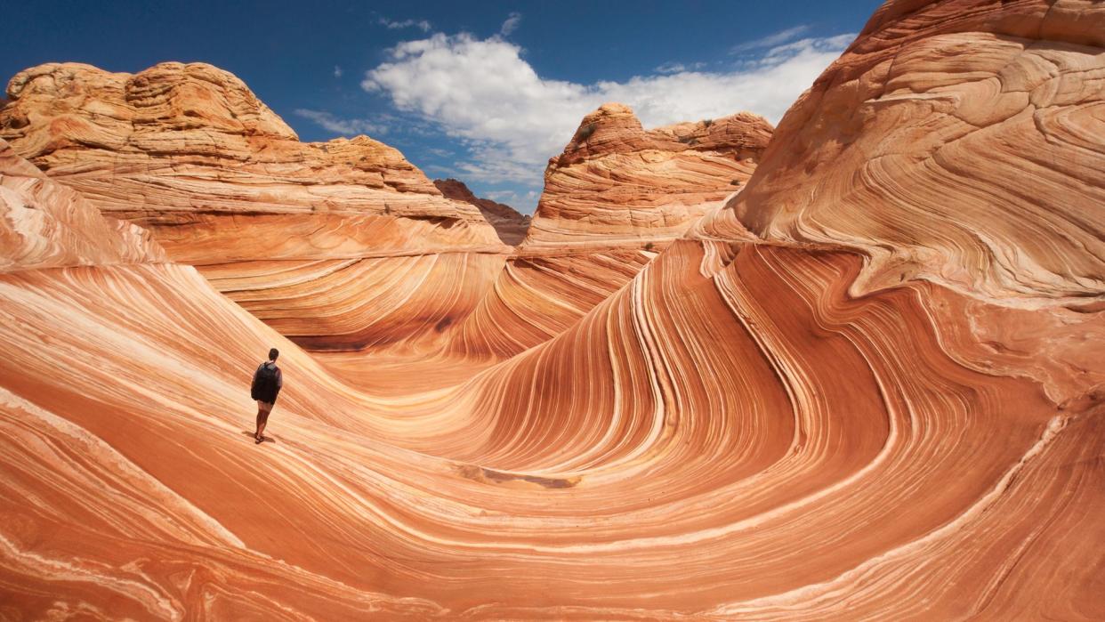 Adult male tourist hikes across the striated sandstone rock formations known as the Wave located within the Paria Canyon-Vermilion Cliffs Wilderness, Page, Arizona, US, North America.