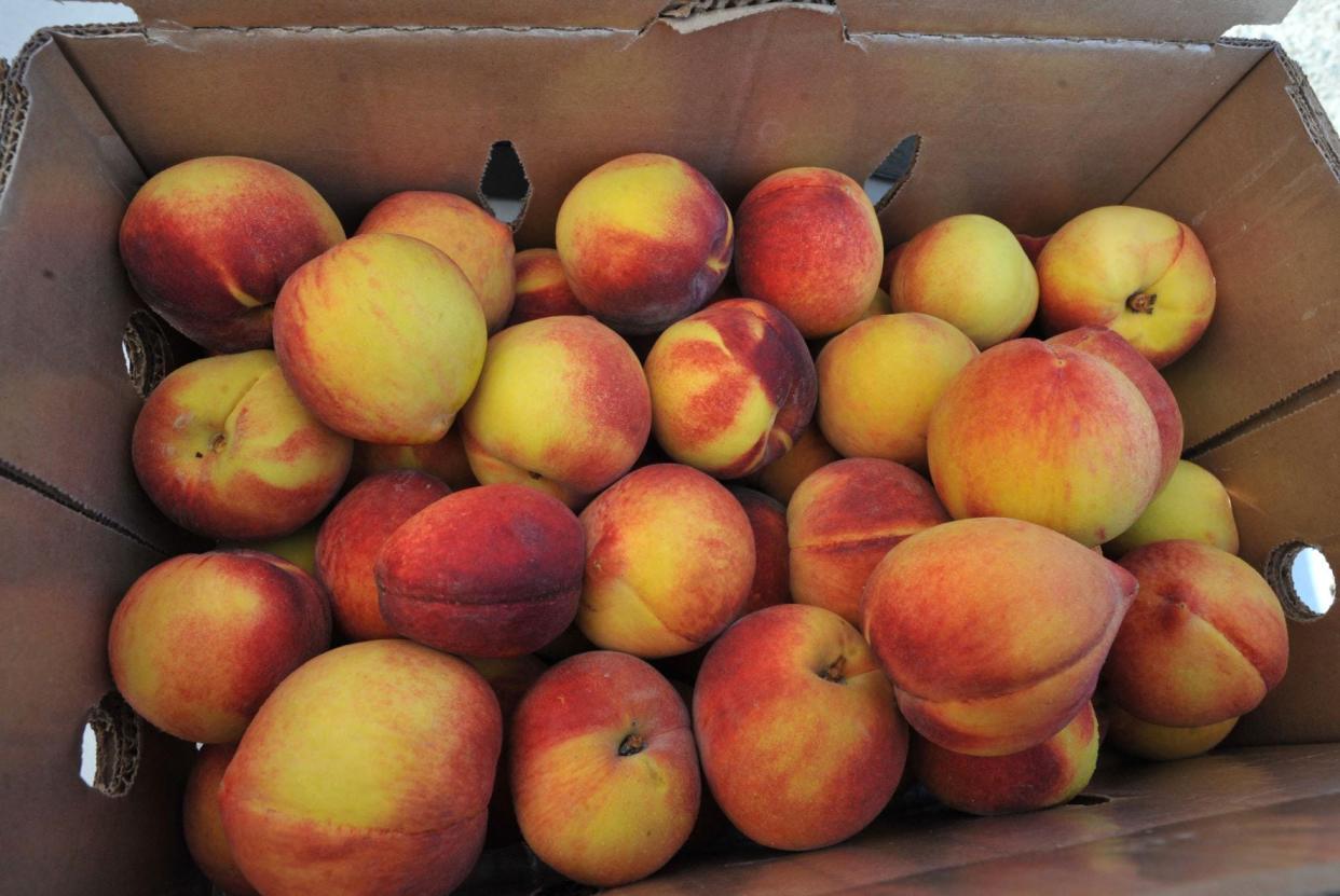 Freshly picked Georgia peaches will be available in Cincinnati this summer via The Peach Truck.