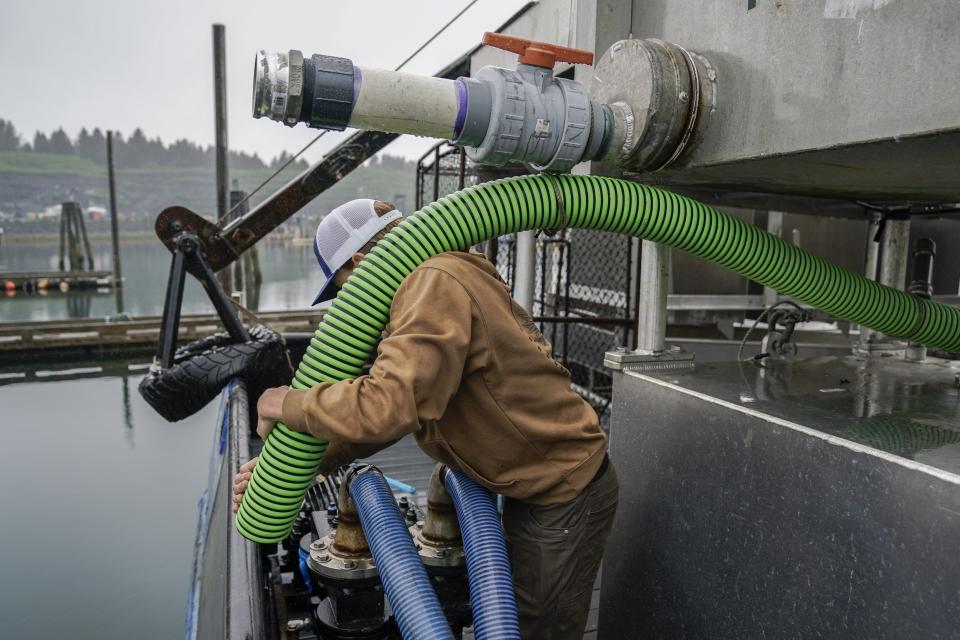 Lane Bolich, captain of the Harmony, reattaches a new hose for the boat's tendering tanks, Saturday, June 24, 2023, in Kodiak, Alaska. After working as a deckhand for two years, he took the wheel as captain this year at just 20 years old. (AP Photo/Joshua A. Bickel)