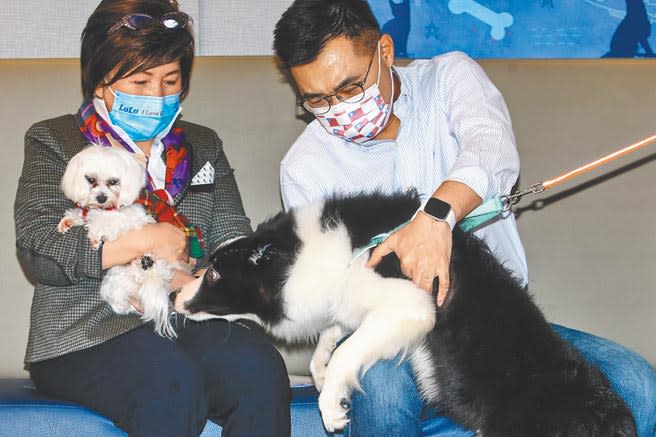 圖為國民黨青年部日前舉辦「國民黨動物日」，呼籲各界重視日益嚴重的流浪動物、虐待動物等動保議題，黨主席江啟臣也親自出席，並當場捐贈動保團體1萬元認購寵物糧食，以行動支持動保。（本報資料照片）