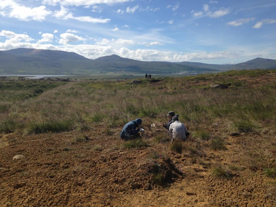 This photograph shows Jacksonville State's Dr. Kathryn Catlin and her team studying ancient findings of Icelandic settlers. Dr. Catlin and her team will be in Iceland this summer.