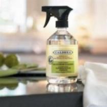 Household Cleansers