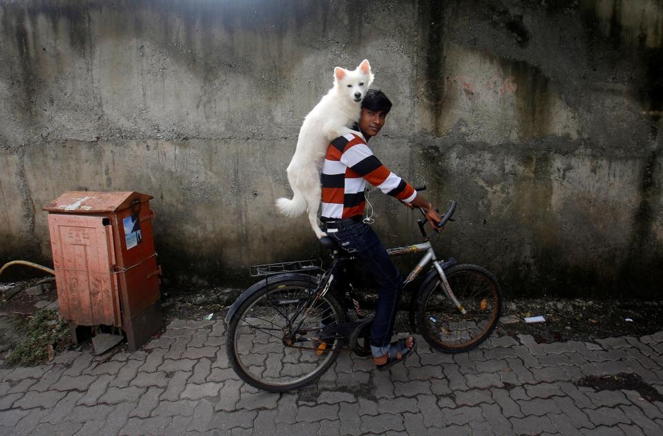 A man rides a bicycle as he carries his dog on his shoulders in Mumbai July 9, 2013.