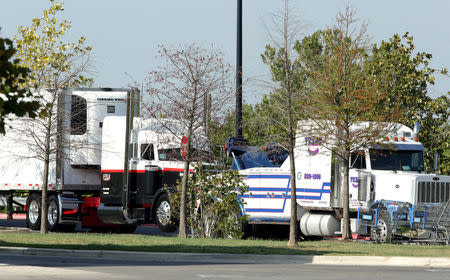 FILE PHOTO: Police prepare to tow and 18-wheeler trailer parked behind a Walmart store after eight people believed to be illegal immigrants being smuggled into the United States were found dead inside it in San Antonio, Texas, U.S. July 23, 2017. REUTERS/Ray Whitehouse/File Photo
