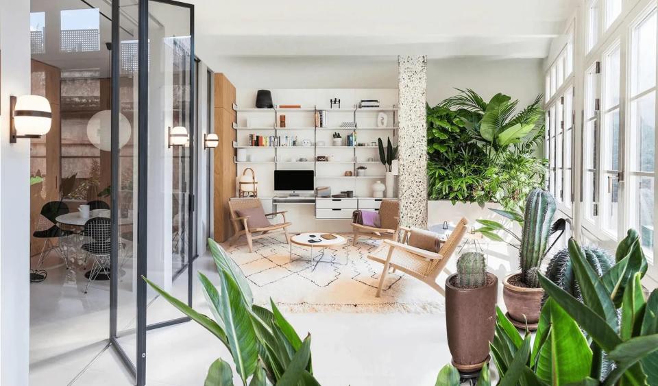 Indoor garden in open plan space