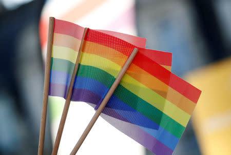 A participant holds rainbow flags at the international Rainbow Memorial Run during the inauguration of the Gay Games village at the Hotel de Ville city hall in Paris, France, August 4, 2018. REUTERS/Regis Duvignau