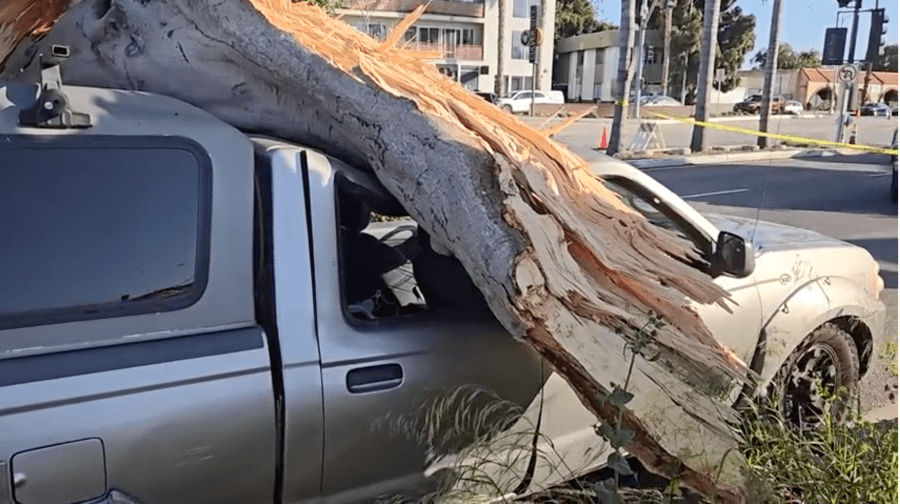 Strong winds caused a large tree to come down in Culver City, near the intersection of Washington Boulevard and Wade Street. The tree caused severe damage to three vehicles, but no one was injured on May 5, 2024. (KTLA)