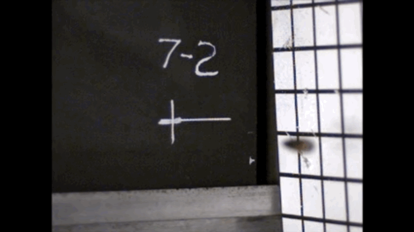 Watch as This Metal Foam Dissolves a Bullet Like It's Sand
