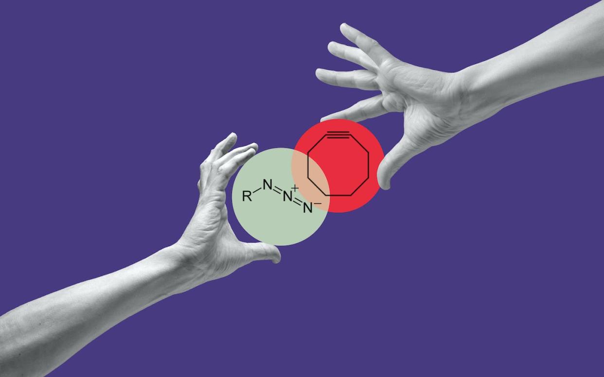 Click chemistry joins molecules together by reacting an azide with a cyclooctyne. <a href="https://www.gettyimages.com/detail/photo/human-hands-connect-two-circles-royalty-free-image/1360214925" rel="nofollow noopener" target="_blank" data-ylk="slk:Boris Zhitkov/Moment via Getty Images;elm:context_link;itc:0;sec:content-canvas" class="link ">Boris Zhitkov/Moment via Getty Images</a>