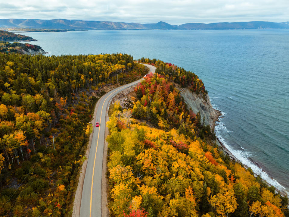 A coastal road through fall foliage.