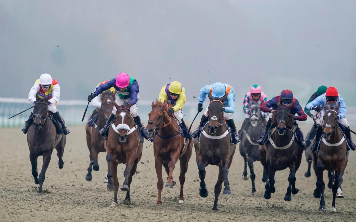 Marlborough racing tips and best bets for Monday, January 18