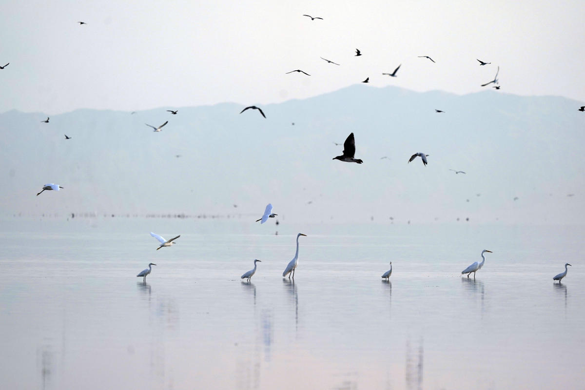 #Drying California lake to get $250M in US drought funding