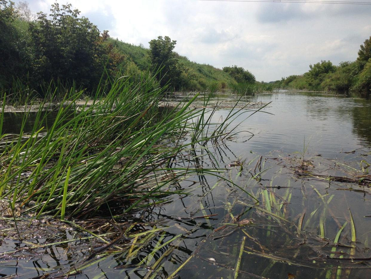 The St. Joseph County Department of Health issued a blue-green algae advisory for the Dixon West Place Ditch after it was detected in a retention pond Aug. 26, 2023, on South Bend's southwest side.