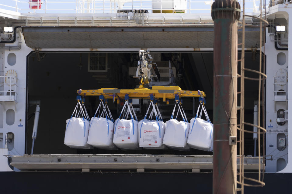 The Norwegian Aker BioMarine's Antarctic Provider unloads large sacks of krill, now labelled "product of Norway" at a port in Montevideo, Uruguay, on Feb. 21, 2023. The bulk of Aker BioMarine’s harvest ends up in tiny pellets used at fish pens around the world. In addition to speeding up growth, krill contains astaxanthin, a pigment that gives salmon a pinker color. (AP Photo/David Keyton)