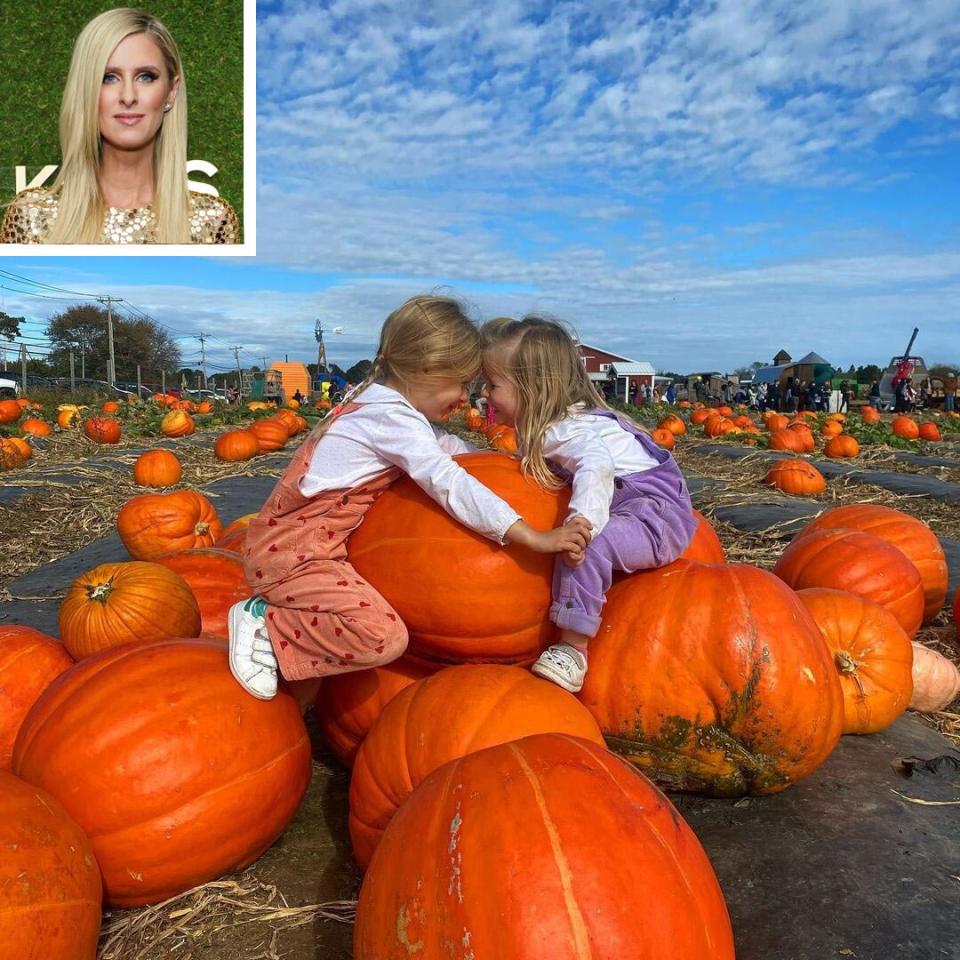 nicky hilton pumpkin patch