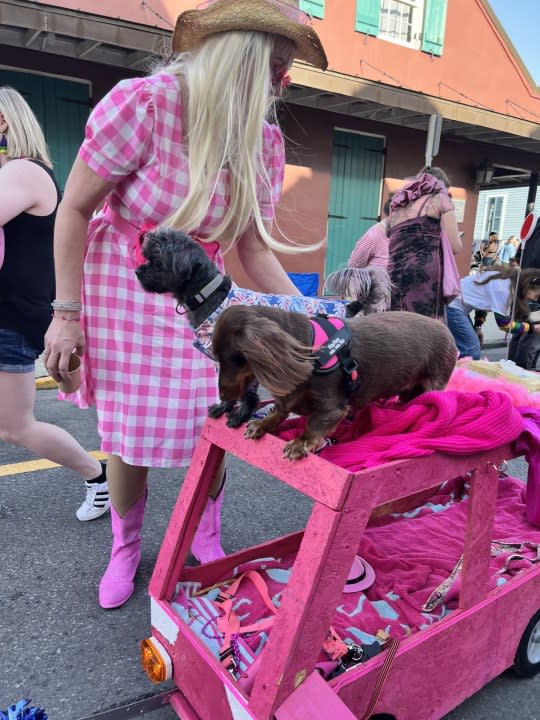 Barkus parade on Sunday, Feb. 4, 2024. (WGNO/Rachel Hernandez)