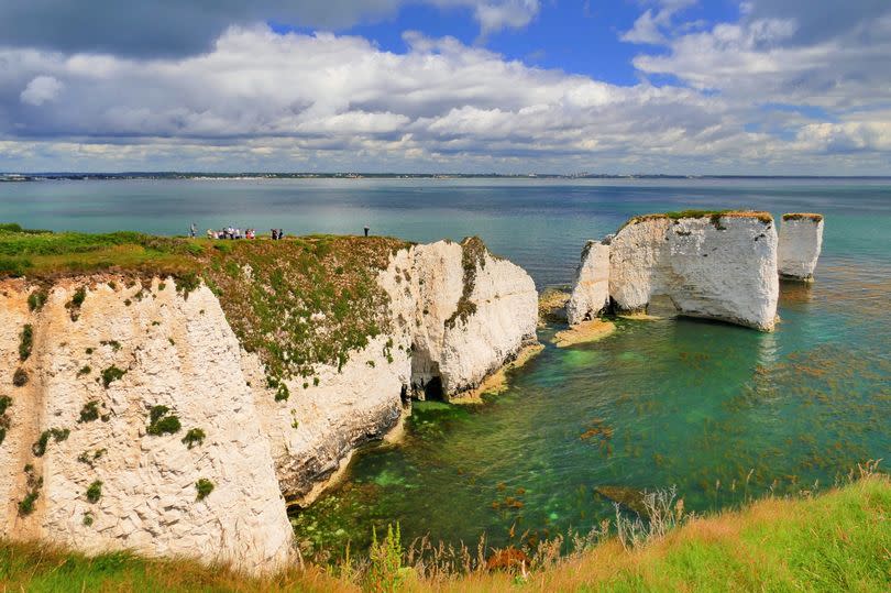 The Old Harry Rocks near Studland in Dorset by Anne Jedrzejewski