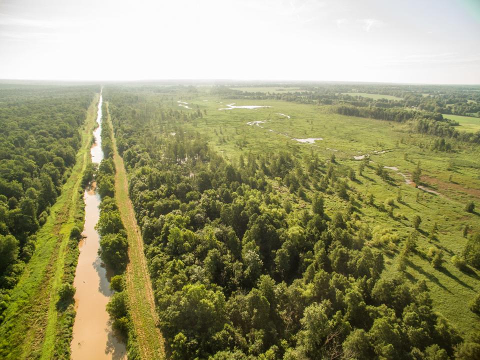 The Nature Conservancy's work with wetlands in western Kentucky includes restoring the natural meander of waterways. Many Kentucky streams, like the one shown here, have been channelized, often for agricultural purposes.