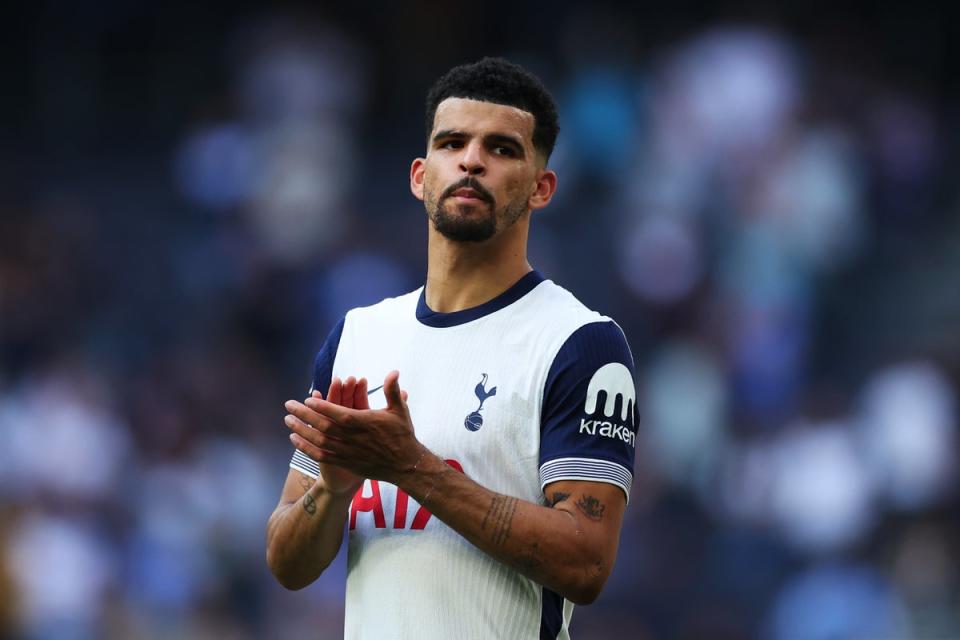 Dominic Solanke scored his first goal for Tottenham (Getty Images)