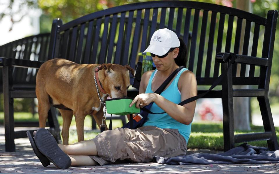 In this photo taken Friday, June 28, 2013, Monee Hauducoeur, from Upland, Calif., keeps a bowl of fresh water for her dog, "Summer," as she awaits in the shade to adopt another dog outside the City of Rancho Cucamonga Animal Care & Adoption Center in Rancho Cucamonga, Calif. The western U.S. is bracing for a record heat wave this weekend. A strong upper-level ridge of high pressure developing over Southern California will generate torrid temperatures starting Friday, raising fears of heat-related illnesses and wildfires. (AP Photo/Damian Dovarganes)