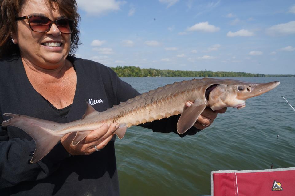Tracy Schwarz of Cameron holds a 24-inch-long lake sturgeon she caught and released Sept. 19 while fishing on Lake Holcombe in Chippewa County.