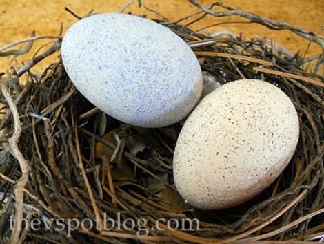 Faux Robin Eggs 