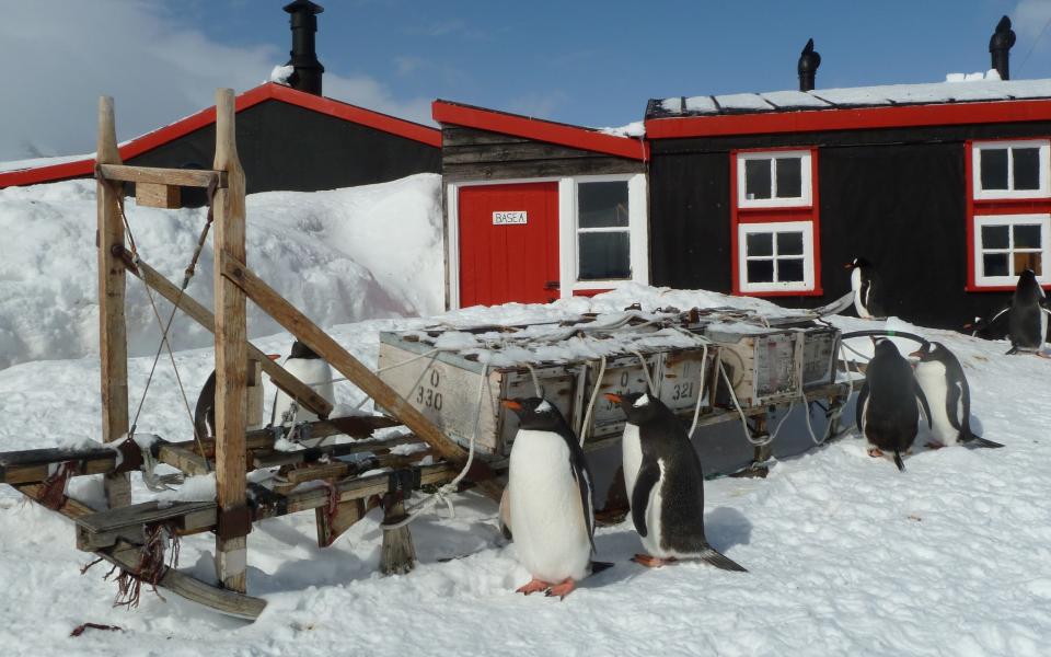 Wanted: Workers for world's most southerly post office, after all-women team quits. 