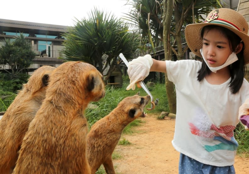 六福莊打造亞洲唯一的生態渡假旅館，讓遊客與動物幾乎零距離的互動體驗。張智傑攝。