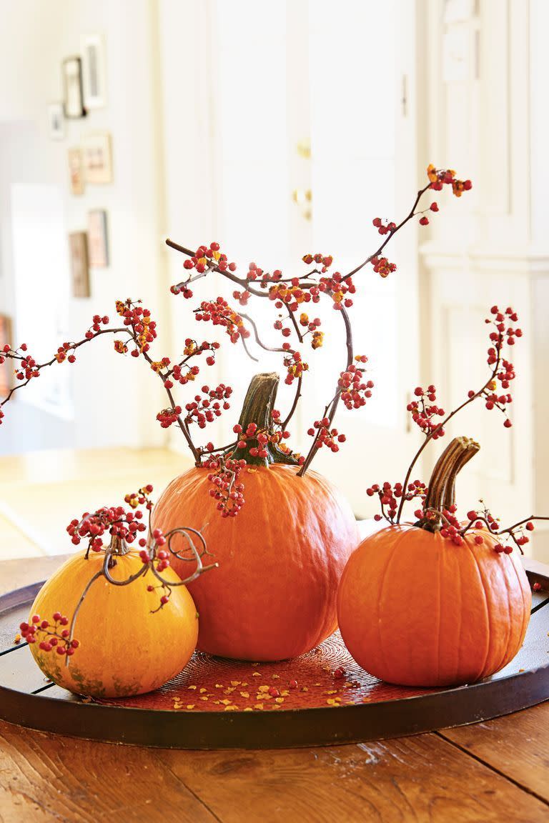 Pumpkins & Berry Branches