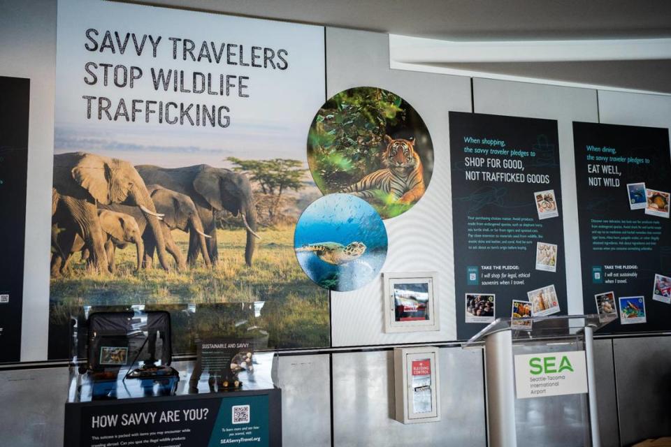 The display at the Sea-Tac Airport to educate travelers about wildlife in partnership with the Woodland Park Zoo and the Point Defiance Zoo & Aquarium at the Sea-Tac Airport on Wednesday May 25, 2022.