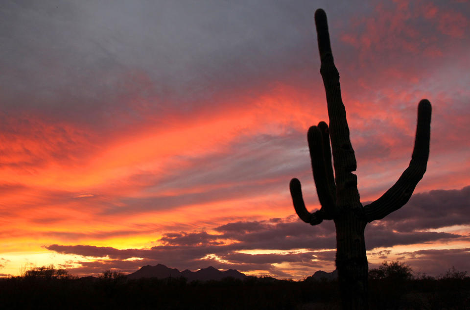 <p>In this Dec. 6, 2009 file photo, a cactus is seen against a backdrop of colorful clouds in Ironwood Forest National Monument in Marana, Ariz. (Photo: Greg Bryan/Arizona Daily Star via AP) </p>