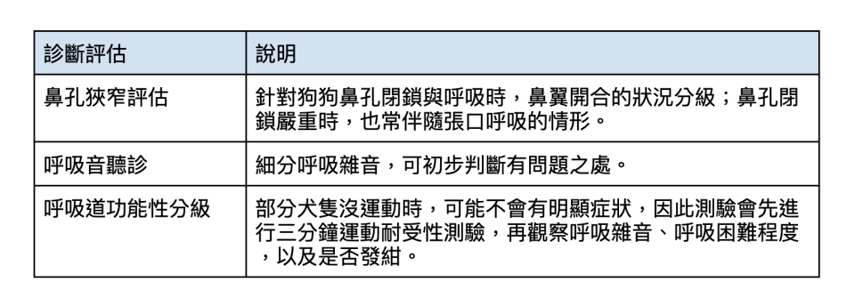 狗狗呼吸道阻塞症候群，一般在門診會進行「鼻孔狹窄評估」、「呼吸音聽診」與「呼吸道功能性分級」三項檢查。表格整理：Yahoo奇摩毛宇宙