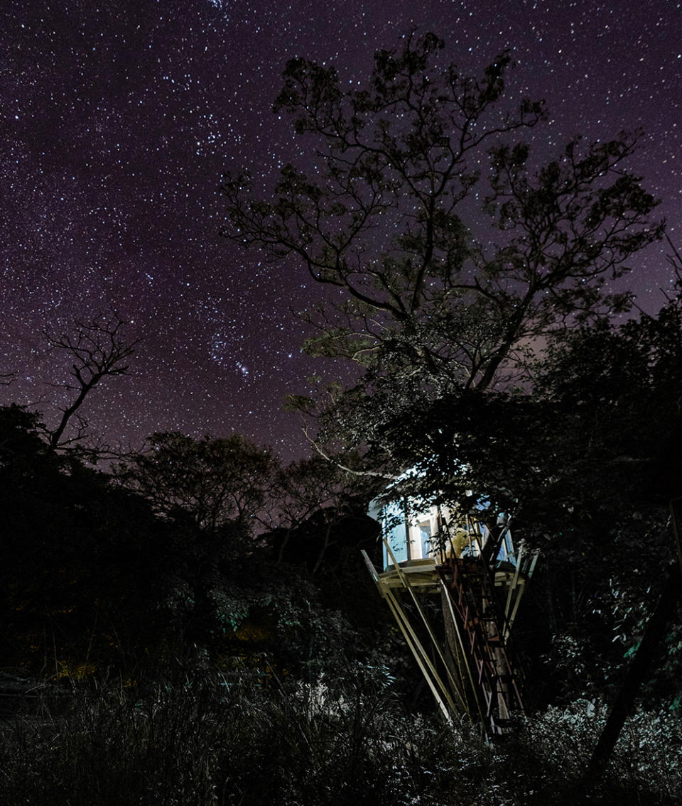 A treehouse in Japan