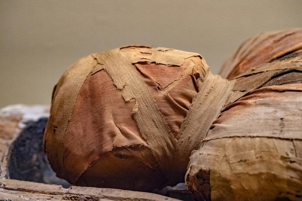 egyptian mummy head close up detail of