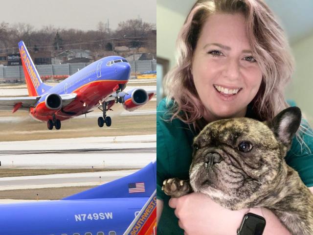 are dogs allowed on southwest airlines