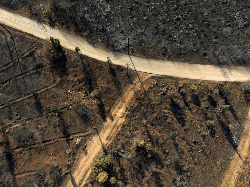 Wildfire aftermath near Athens