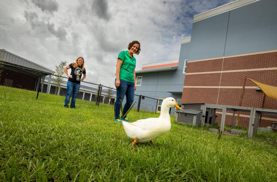 Principal Michelle Townley, right, and agriculture teacher Danielle Emmons in the ag center area at Willow Oak School in Mulberry. The school, which opened in 2021 has been holding agriculture classes as part of students specials since that first school year.
