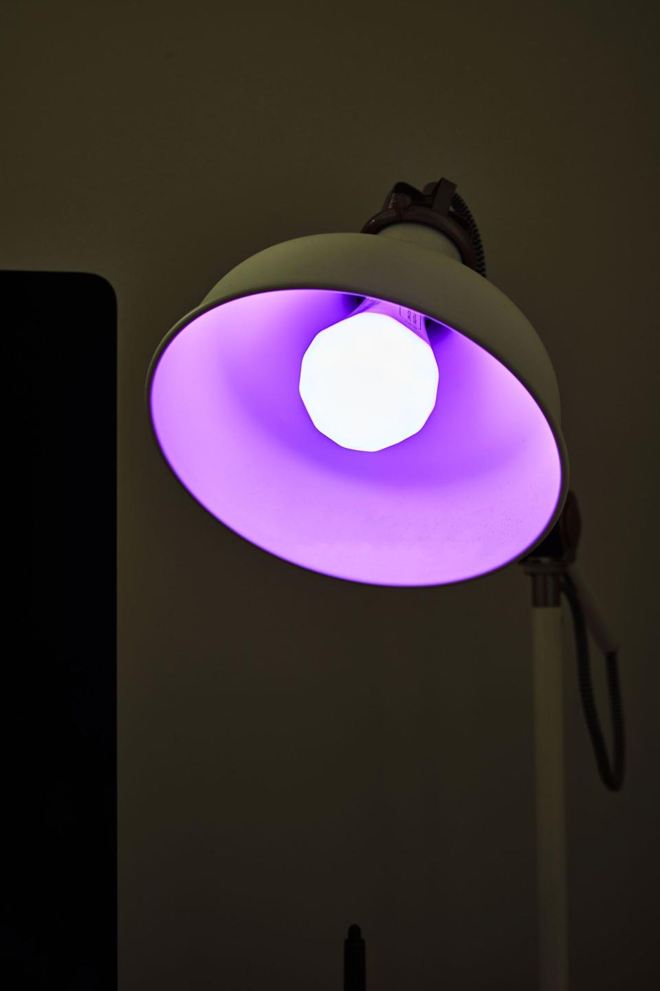 <p><a href="https://go.redirectingat.com?id=74968X1596630&url=https%3A%2F%2Fnanoleaf.me%2Fen-US%2Fproducts%2Fessentials%2Fbulbs%2F&sref=https%3A%2F%2F" rel="nofollow noopener" target="_blank" data-ylk="slk:Shop Now;elm:context_link;itc:0;sec:content-canvas" class="link ">Shop Now</a></p><p>Matter Smart Lightbulb</p><p>nanoleaf.me</p><p>$19.99</p><span class="copyright">Trevor Raab</span>