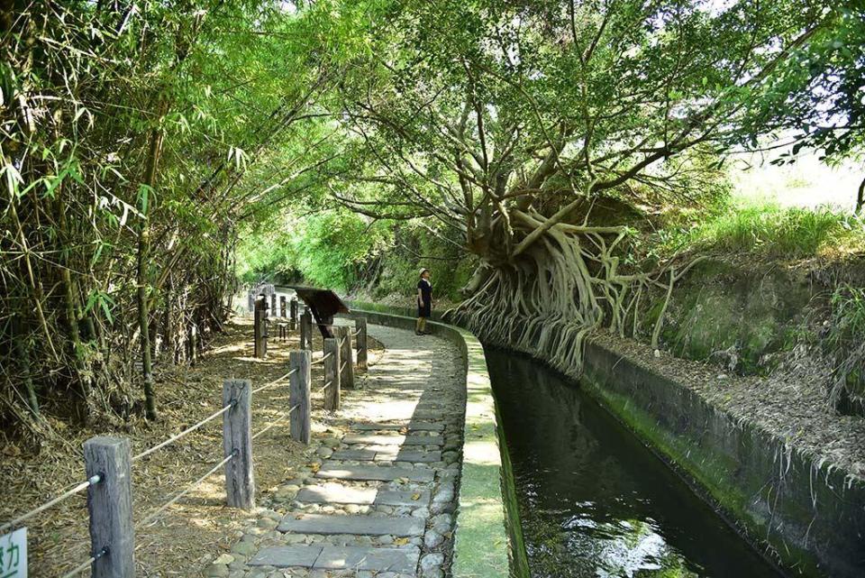 知高圳步道（圖片來源：台中觀光旅遊網）