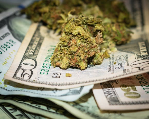 A small pile of trimmed cannabis buds lying atop a messy pile of cash bills.