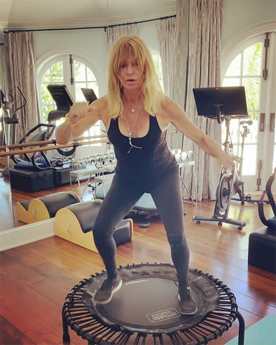 goldie hawn house gym z