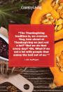 <p>"The Thanksgiving tradition is, we overeat. 'Hey, how about at Thanksgiving we just eat a lot?' 'But we do that everyday!' 'Oh. What if we eat a lot with people that annoy the hell out of us.' "</p>