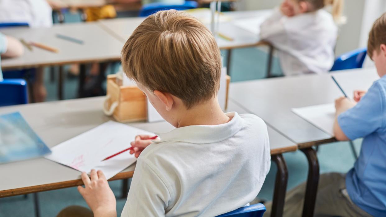  Schoolboy in classroom from behind. 