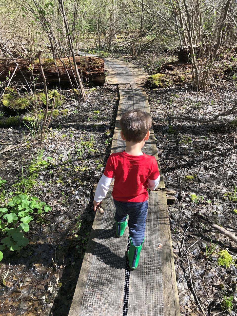 Luke Sebastiano, 4, hikes along a trail on Thousand Acre Swamp in Penfield.
