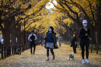 People wearing protective masks to help curb the spread of the coronavirus walk through the row of ginkgo trees along the sidewalk as the trees and sidewalk are covered with the bright yellow leaves Friday, Nov. 27, 2020, in Tokyo.(AP Photo/Kiichiro Sato)