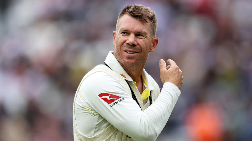 Pictured here, David Warner during the Ashes series.